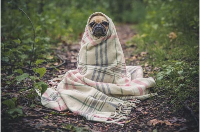warmtheroom